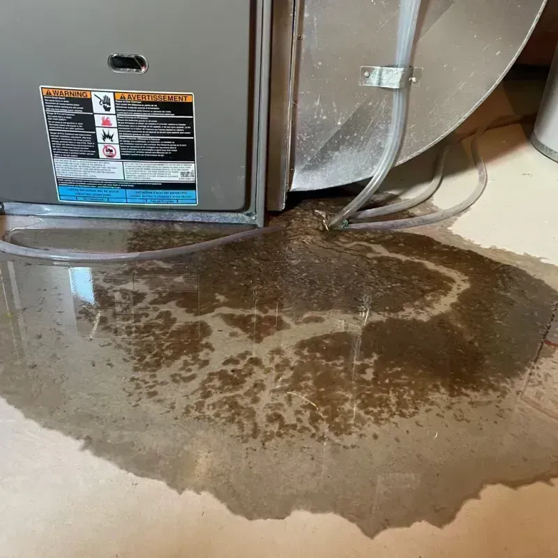 Appliance Leak Cleanup in Clifton, CO